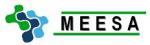 MEESA Engineering GmbH